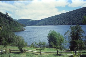 0190 NP Huerquhue.jpg